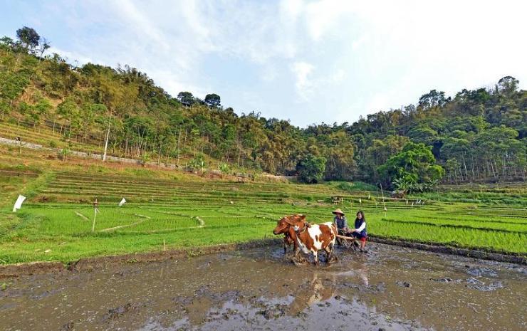 Grand Whiz Hotel Trawas Mojokerto Luaran gambar