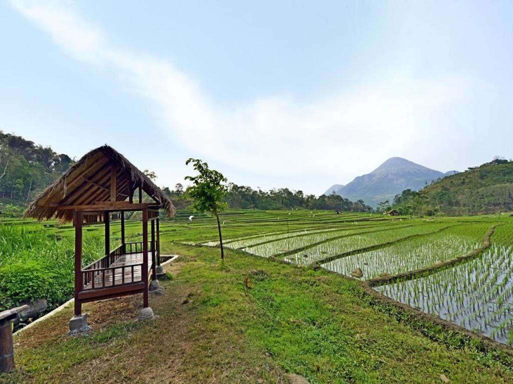 Grand Whiz Hotel Trawas Mojokerto Luaran gambar