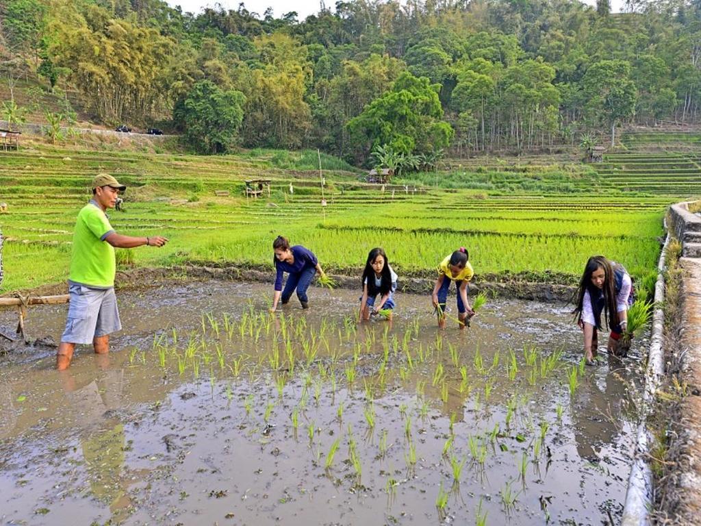 Grand Whiz Hotel Trawas Mojokerto Luaran gambar